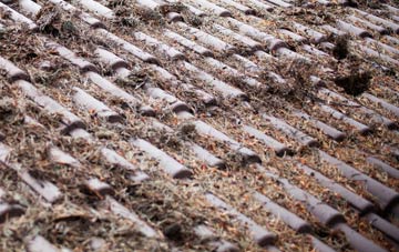 New Whittington roof cleaning companies